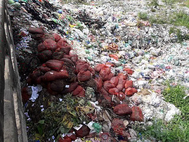 সেতুর নিচে ময়লার স্তুপে বস্তা বস্তা পেঁয়াজ। ছবি: প্রথম আলো