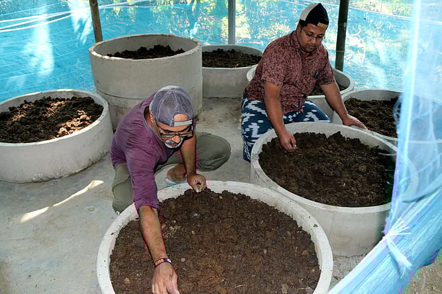 জৈব সার।