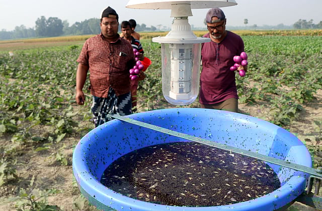 আলোর ফাঁদ।