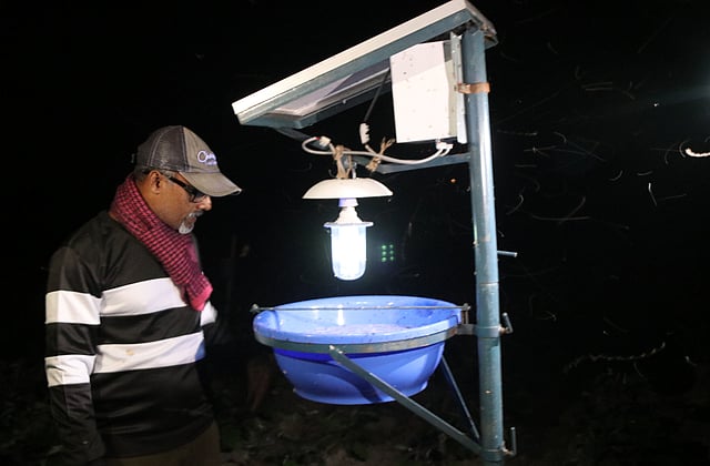 পোকামাকড় দমনে আলোর ফাঁদ।