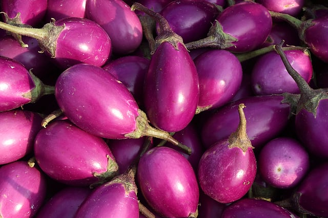বিষমুক্ত বেগুন।