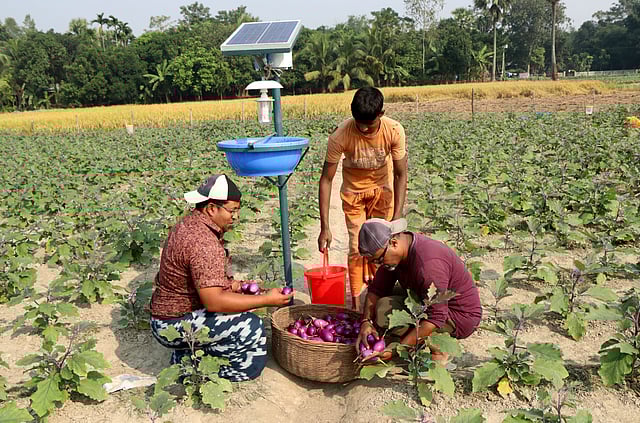 আলোর ফাঁদ।
