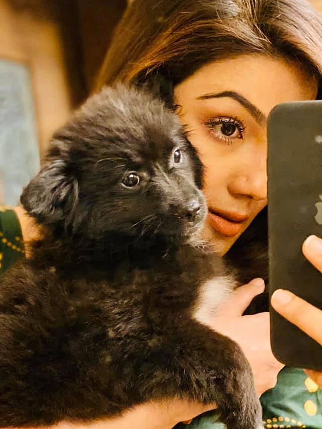 মাহিয়া মাহির কুকুরের নাম টোকিও। ছবি: ফেসবুক থেকে নেওয়া