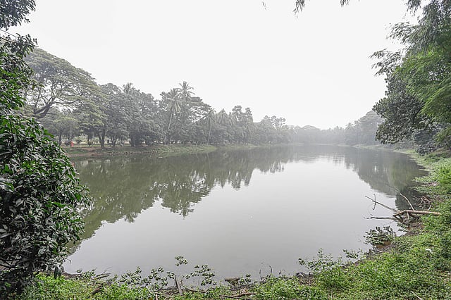 সারা দিনই ছিল কুয়াশাচ্ছন্ন