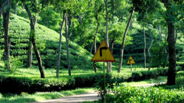 মৌলভীবাজার জেলার ওয়েবসাইট থেকে।