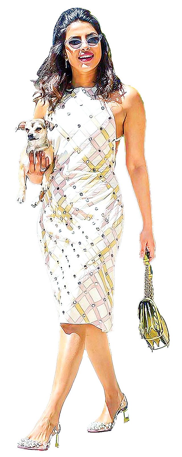 প্রিয়াঙ্কার কোলে তাঁর পোষ্য ডায়ানা