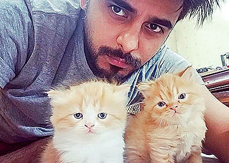 সিয়ামের আছে দুটো বিড়াল