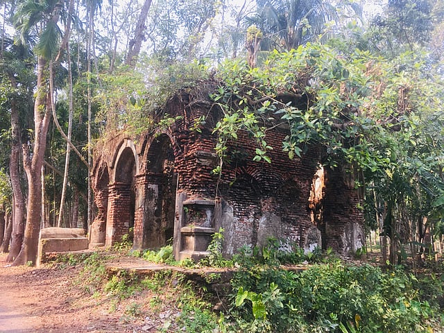 রায়েরকাঠি জমিদারবাড়ির ধ্বংসাবশেষ। ছবি: লেখক