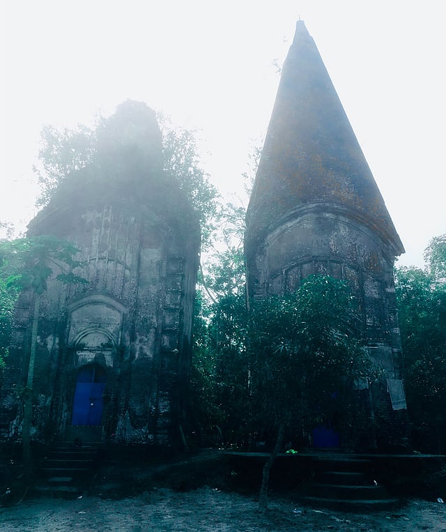 রায়েরকাঠি জমিদারবাড়ির ধ্বংসাবশেষ। ছবি: লেখক