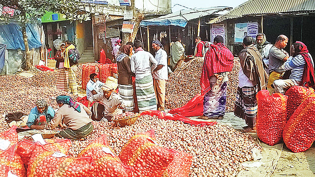 পেঁয়াজ কিনে বস্তাবন্দী করছেন ব্যবসায়ীরা। সম্প্রতি পাবনার সাঁথিয়া উপজেলার কাশিনাথপুর হাটে। ছবি: প্রথম আলো