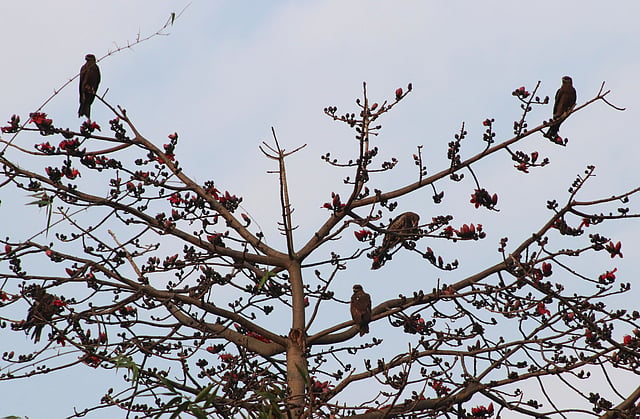 অপেক্ষায় থাকা