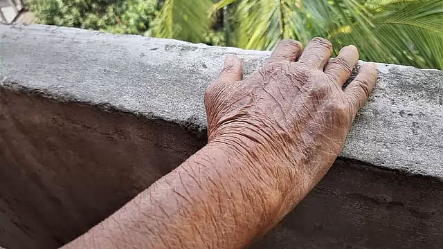 প্রতীকী। ছবি: মানসুরা হোসাইন