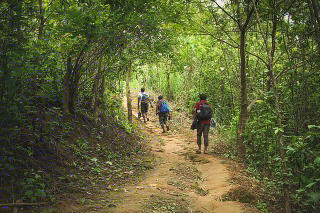 রনিনপাড়া যাওয়ার পথে। ছবি: সংগৃহীত