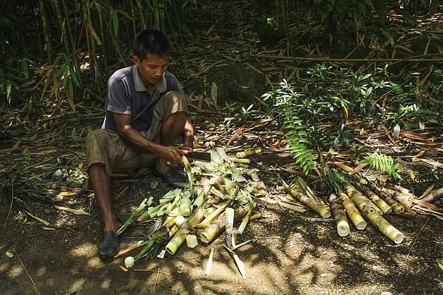 গাইড। ছবি: লেখক