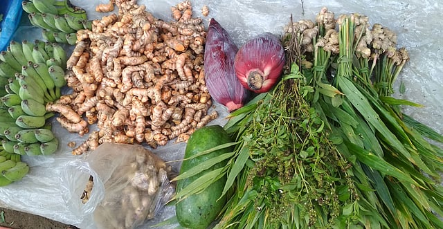 পাহাড়ি কলা, পেঁপে, আদা ও কলার মোচা। ছবি: লেখক