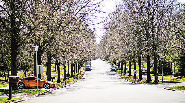 করোনা–আতঙ্কে ফাঁকা হয়ে গেছে নিউজার্সির পথ। ছবি: রয়টার্স