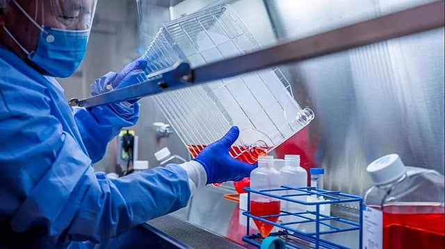 একটি কার্যকর ভ্যাকসিন পেতে দেশে দেশে বিশ্ববিদ্যালয়গুলো এবং তাতে থাকা শিক্ষাবিদ ও গবেষকেরা হয়ে উঠেছেন সত্যিকারের আন্তর্জাতিক। ছবি: রয়টার্স