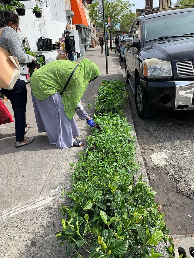 ব্রঙ্কসে একটি গ্রোসারি থেকে ফুল ও সবজির চারা কিনছেন প্রবাসী বাংলাদেশিরা