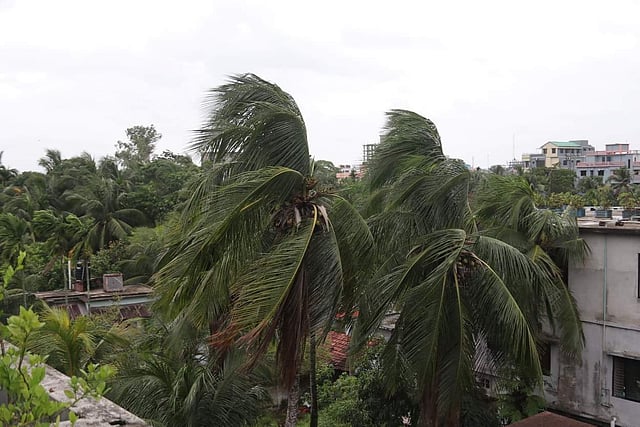আম্পানের প্রভাবে সৃষ্ট ঝড়। পলিটেকনিক রোড, বরিশাল নগর। ছবি : সাইয়ান