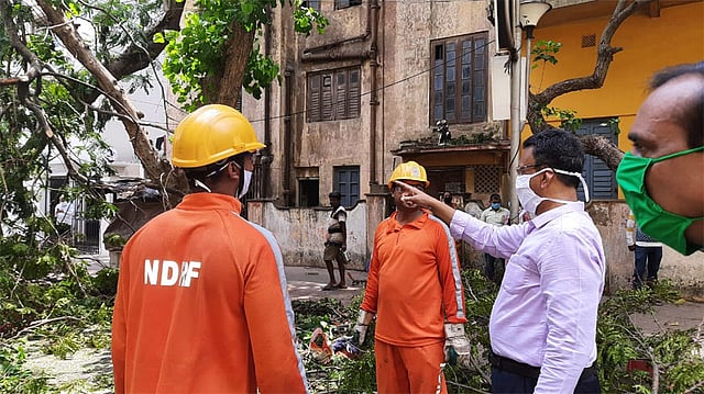 পশ্চিমবঙ্গজুড়ে ছড়িয়ে আছে ঘূর্ণিঝড় আম্পানের আঘাতের ধ্বংসস্তুপ। ছবি: ভাস্কর মুখার্জি