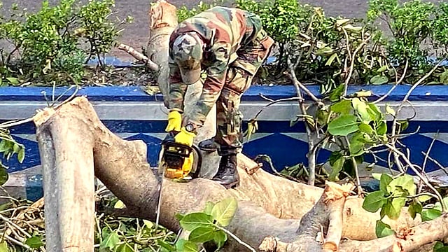 আম্পান বিধ্বস্ত এলাকায় গাছ কেটে সড়ক পরিষ্কার করা হচ্ছে। ছবি: ভাস্কর মুখার্জি