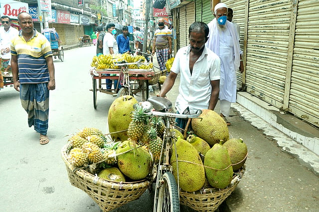 সাইকেলের দুপাশে কাঁঠাল আর আনারসের ডালি সাজিয়ে বের হয়েছেন এক বিক্রেতা। গতকাল শনিবার দুপুর সাড়ে ১২টায় কুমিল্লা নগরে। ছবি: এম সাদেক