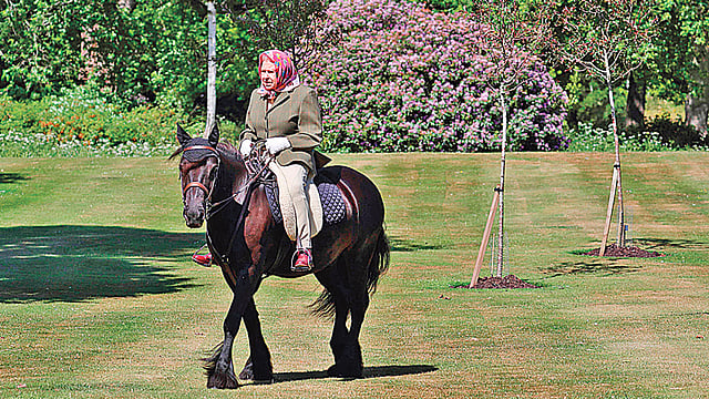 ঘোড়ায় চড়ে ঘুরে বেড়ান রানি দ্বিতীয় এলিজাবেথ। গত রোববার লন্ডনে। রয়টার্স