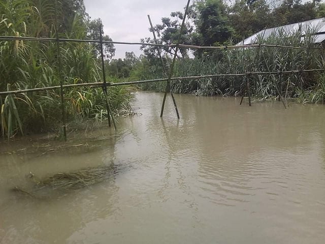 সাঁকো হওয়ায় দুর্ভোগ কমল সিরাজগঞ্জের চৌহালী উপজেলার উমারপুর ইউনিয়নের হাপানিয়া গ্রামের মানুষের। ছবি: সংগৃহীত