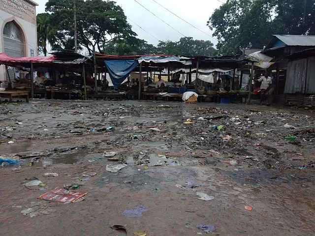 বৃষ্টি হলেই এভাবে ভাগলপুর গ্রামের সড়ক জমে থাকে পানি। ছবিটি ১১ জুলাই তোলা।