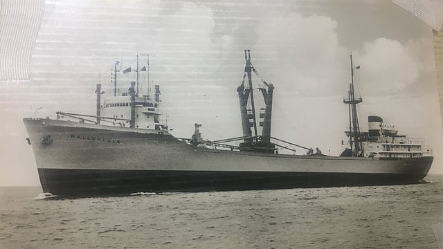 গ্রিসের এই জাহাজে চড়ে আমেরিকায় এসেছিলেন শিপ জাম্পার রাধিকা জলদাস। ছবি: সংগৃহীত