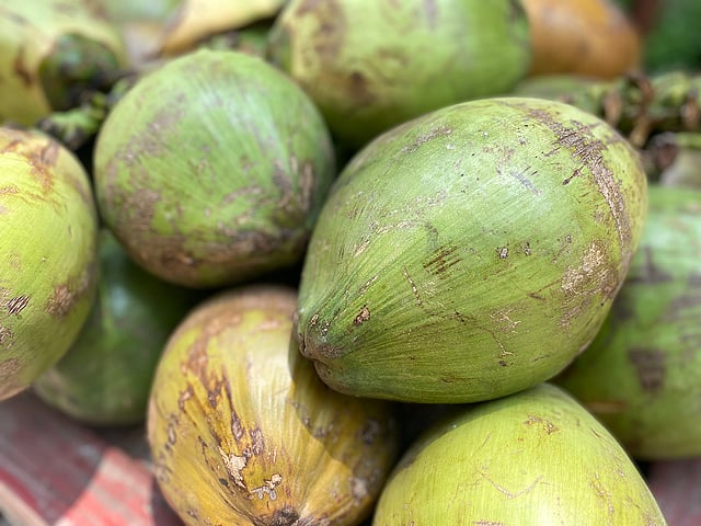 প্রতিদিন ডাবের পানি পান করলে শরীরের অনেক ক্ষমতা বৃদ্ধি পায়। ছবি: প্রথম আলো