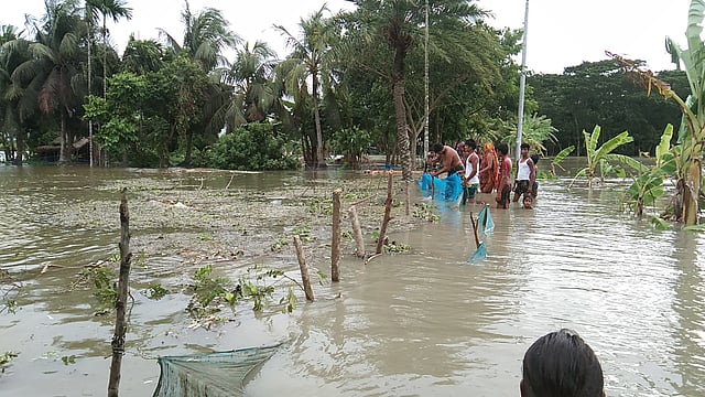 পানিতে পুকুরের মাছসহ ভেসে গেছে সবকিছু। ছবি: লেখক