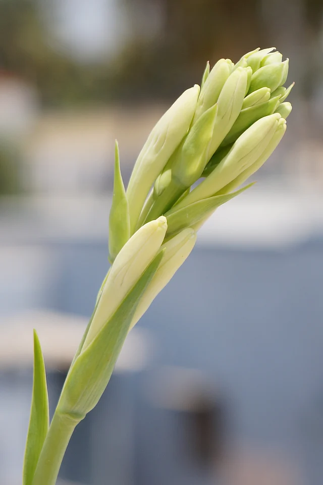 প্রতীকি ছবি