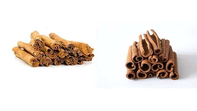 সিনামন সিলন (বাঁয়ে) ও সিনামন ক্যাসিয়া