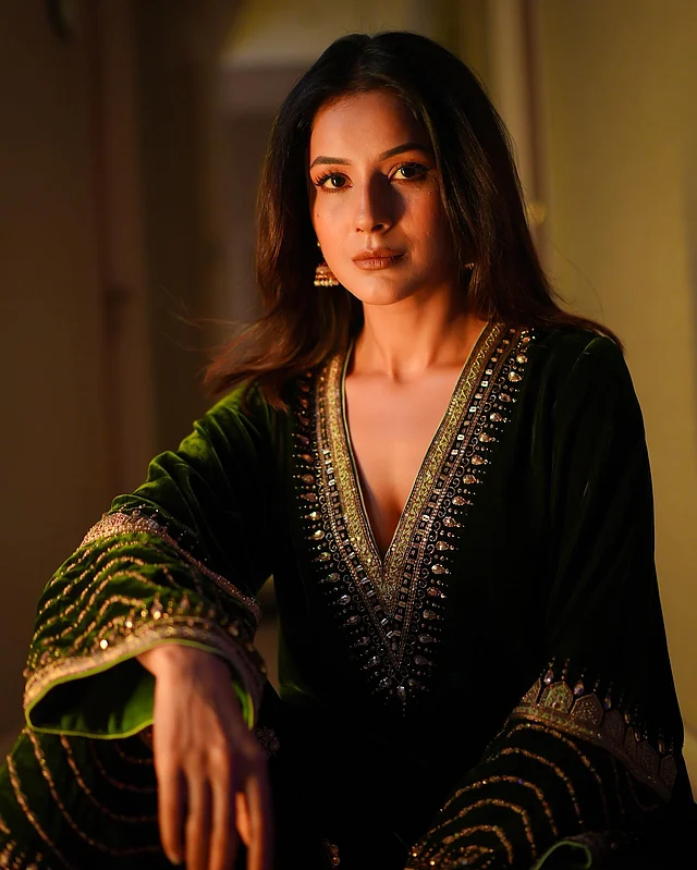 ডিপ নেক এথনিক ওয়্যার পরেছেন তিনি