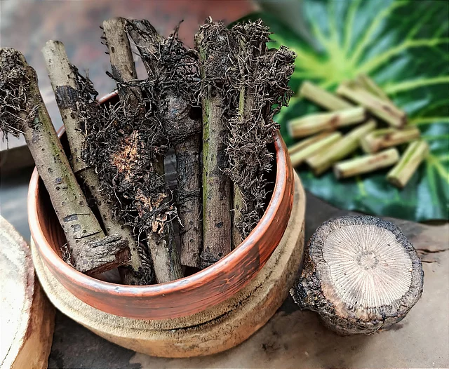 চুইঝালে আছে বহু প্রাকৃতিক ঔষধি যৌগ
