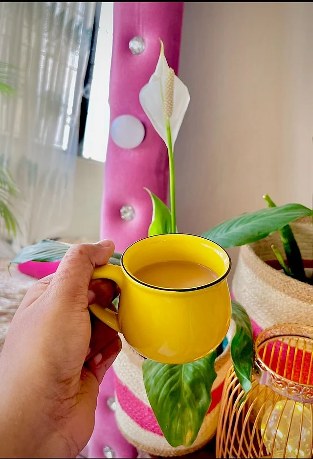 পিস লিলি বা স্প্যাথিফাইলাম