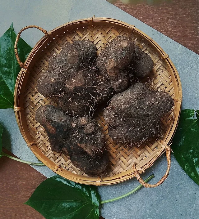 এটি হার্টের কোলেস্টেরলের মাত্রাও নিয়ন্ত্রণে রাখে।