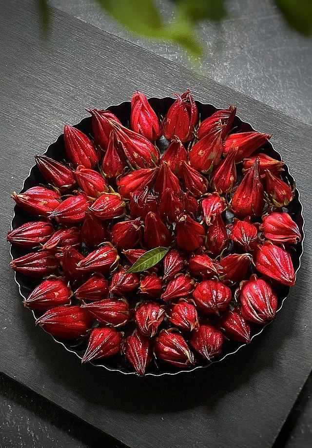 চুকাই দারুণ ঔষধিগুণসম্পন্ন