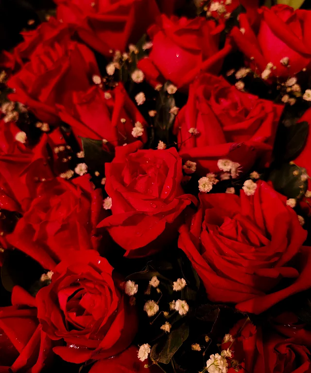 ব্যুকে তৈরিতেও এর চাহিদা বেশি