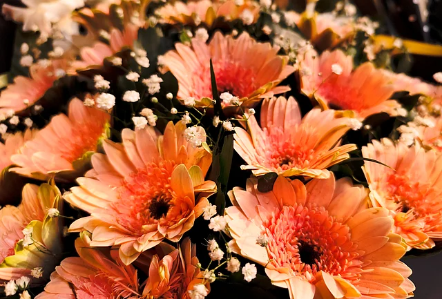 জারবারাও রয়েছে ফুলের সাজে