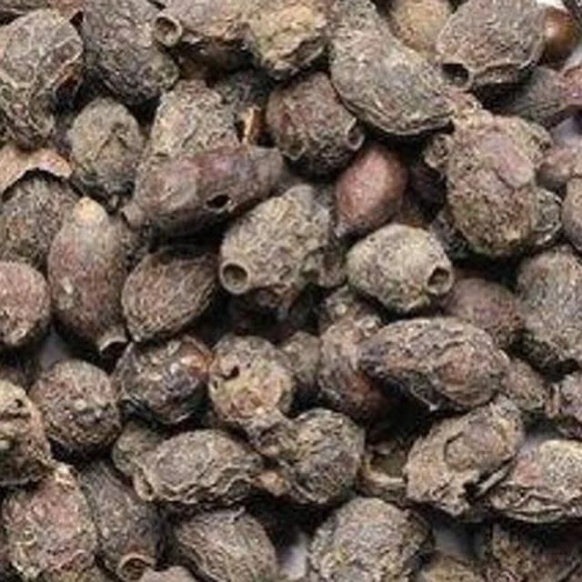 শুকনা জামের বিচি ড়েলে নিলে এমন দেখাবে