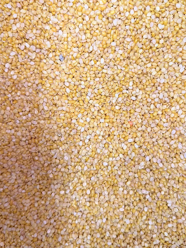 আমাদের দেশে খোসা ছাড়ানো হলুদ মুগ ডাল বিক্রি করা হয়