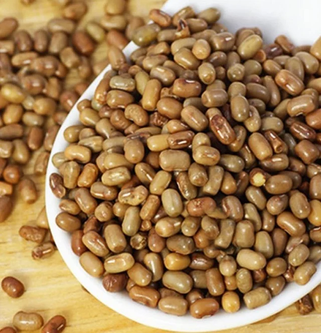 আস্ত মথ ডাল বা মথ বিনস এরকম হয় দেখতে