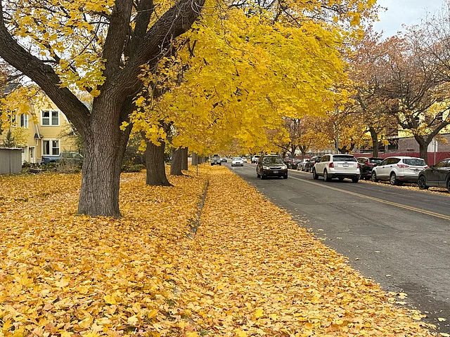 হেমন্তের দিনগুলো যদিও সৌন্দর্যময়, তবুও প্রকৃতি মানুষকে স্মরণ করিয়ে দেয় পরিবর্তনের কথা।