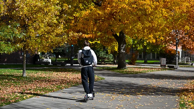 আর পাতাঝরা গাছগুলো জানান দেয় শীত দরজায়।
