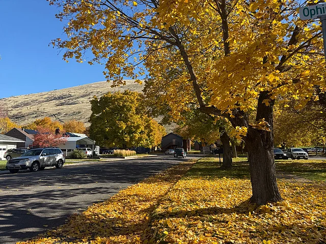 স্থানীয় ও পর্যটকদের জন্য এ সময়টি ছবি তোলার স্বর্গ।