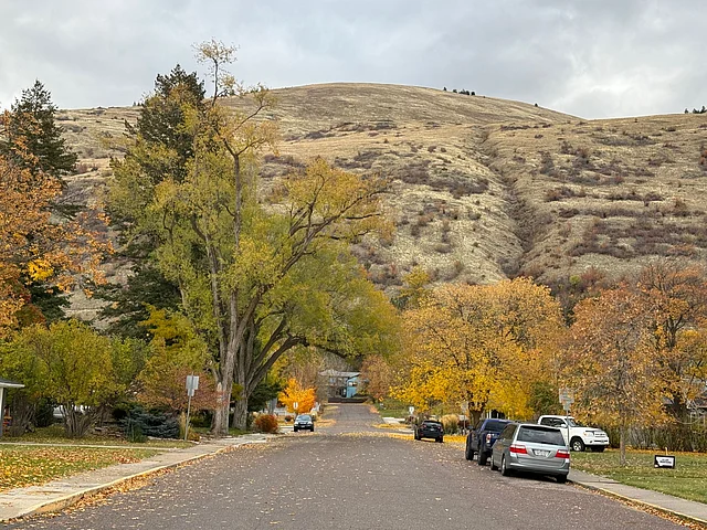 পাতা ঝরা দিনগুলো তাই বিষণ্নতার নয়।