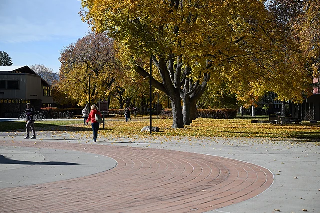 তবুও মিজুলার মানুষ হেমন্তকে উদ্যাপন করে উৎসব, পাম্পকিন স্পাইস কফি, ফুটবল ম্যাচ আর বন্ধুদের সঙ্গে বনপথে হাঁটায়।