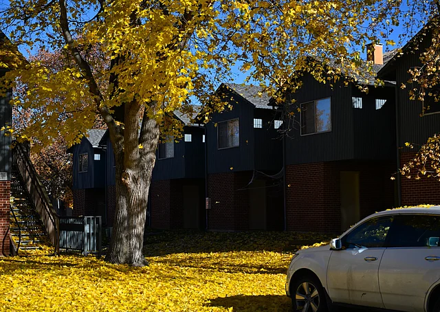 হাইওয়ের পাশের দেয়াল, পুরোনো কাঠের ঘর, আর সোনালি বনের ভেতর দিয়ে সাইকেল চালানোর দৃশ্য যেন সিনেমার মতো।